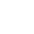 RighInfo003061_icon3
