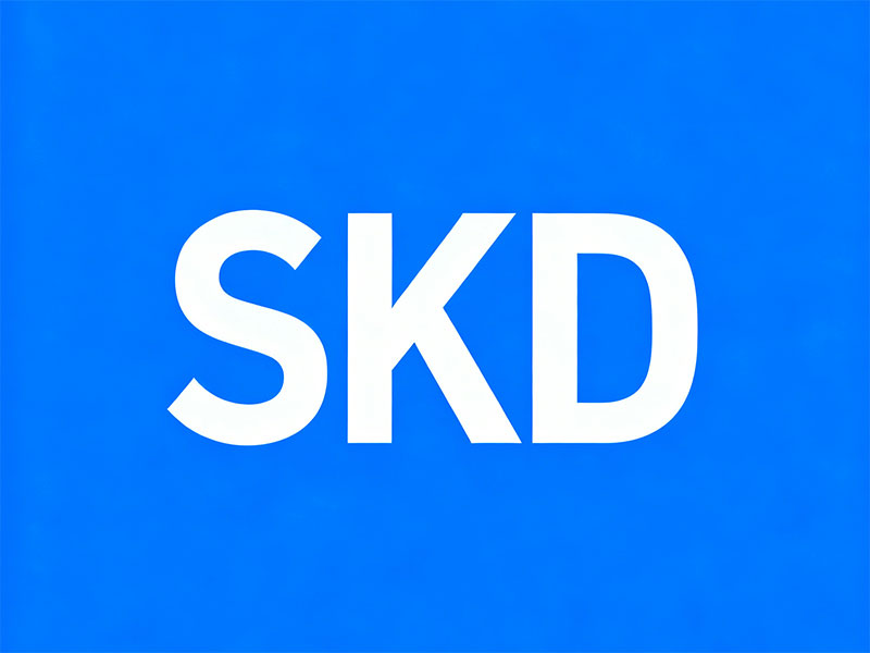 表贸术语skd